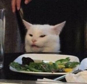 A white cat at a table looking very offended, one half of the meme where the woman yells at the cat